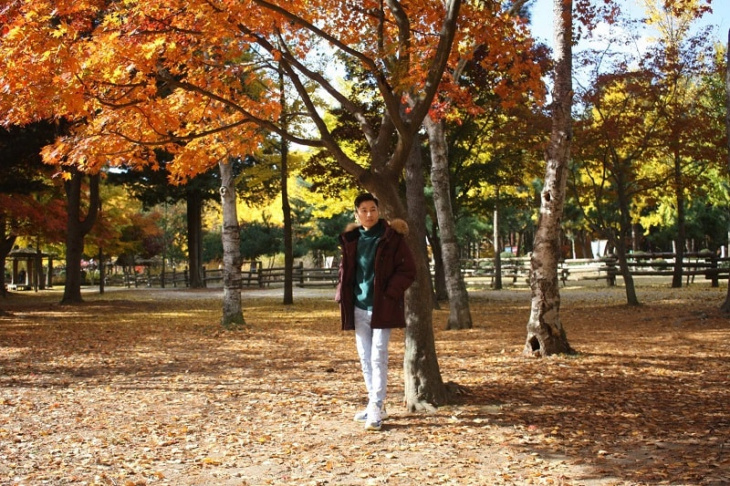 mùa thu tại hòn đảo nami tỉnh gangwon từng xuất hiện trong phim “bản tình ca mùa đông”