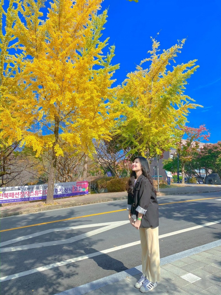 đại học quốc gia chonbuk đẹp ngỡ ngàng vào mùa thu