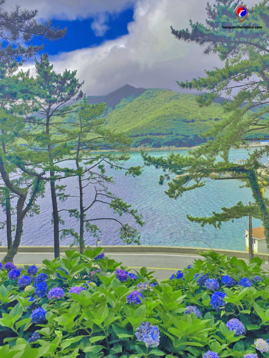 Check in cực đẹp tại đảo Geojedo thiên đường nghỉ dưỡng tại Hàn Quốc