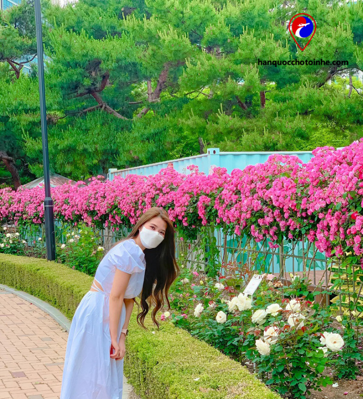 công viên hồ ilsan không gian xanh giữa lòng thành phố goyang