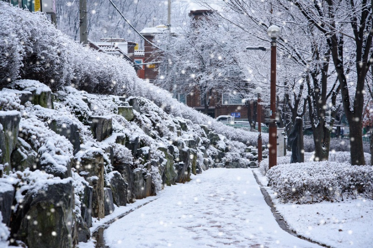 ngắm tuyết đầu mùa phủ trắng tại công viên thành phố gunpo