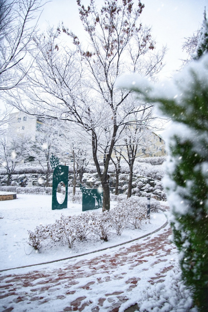 ngắm tuyết đầu mùa phủ trắng tại công viên thành phố gunpo