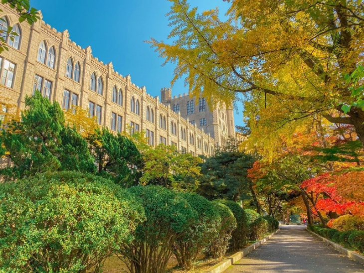 choáng ngợp mùa thu lá vàng giữa lòng ngôi trường đại học kyung hee