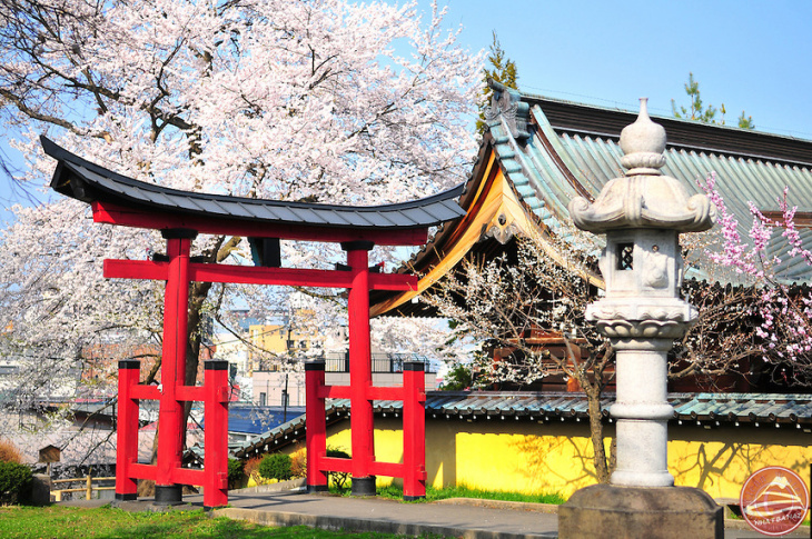 101 trải nghiệm Nhật Bản nên có khi qua du lịch: phần 1