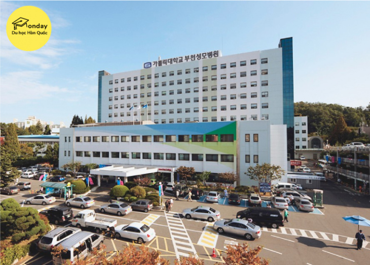 đại học korea catholic - ngôi trường công giáo thuộc top đầu seoul