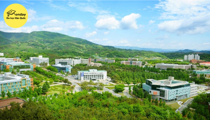 đại học daegu catholic - top 5 đại học tốt nhất gyeongsan