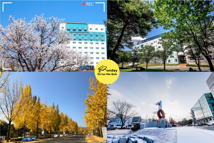 đại học daegu catholic - top 5 đại học tốt nhất gyeongsan