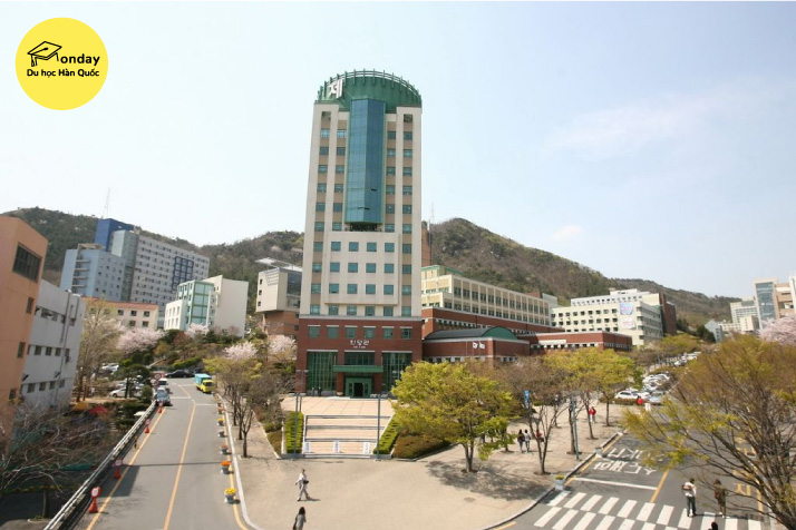 đại học inje - top 3 đại học tốt nhất khu vực busan - ulsan - gyeongnam