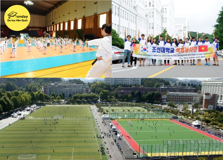 đại học chosun - trường đại học top đầu khu vực gwangju