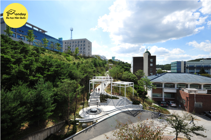 đại học soonchunhyang - ngôi trường đào tạo ngành y nổi tiếng ở hàn quốc