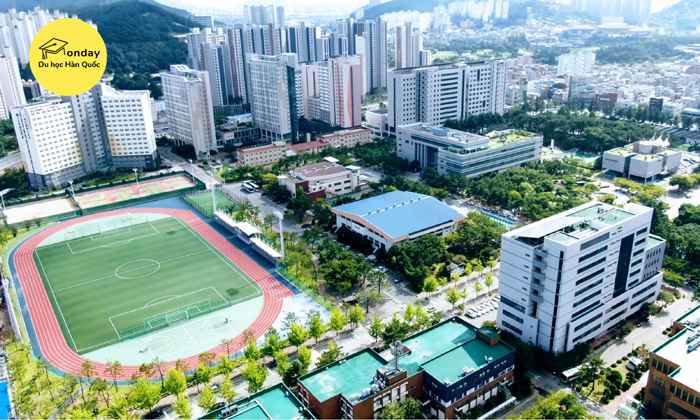 đại học quốc gia pukyong - top 3 đại học tốt nhất busan