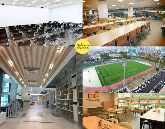 đại học quốc gia pukyong - top 3 đại học tốt nhất busan
