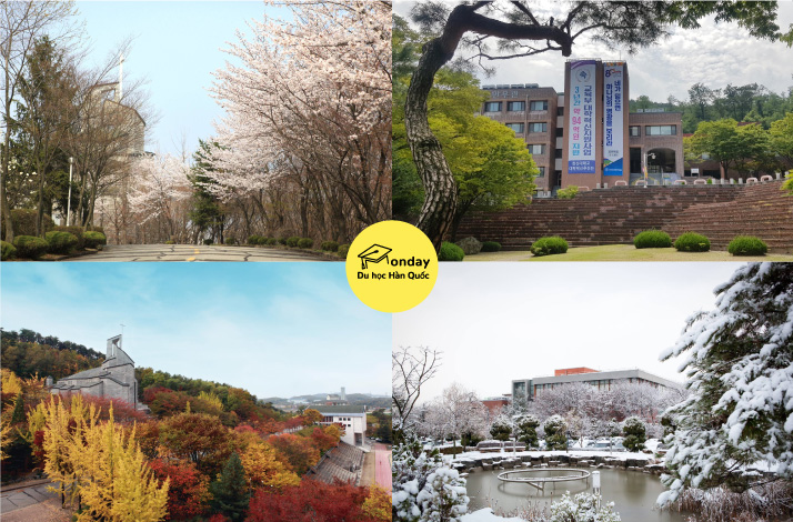 đại học hanshin - ngôi trường đại học uy tín hàng đầu gyeonggi