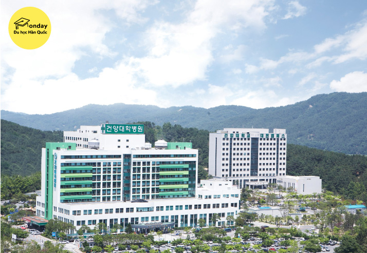 đại học konyang - ngôi trường đại học kiểu mẫu tọa lạc tại chungcheongnam