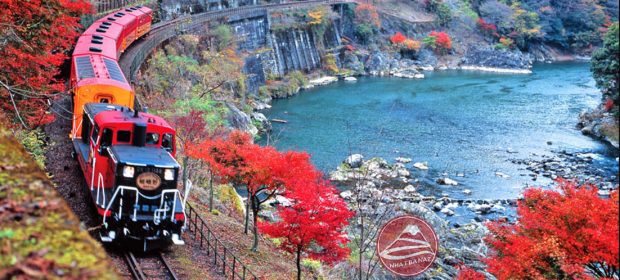 Du lịch Nhật Bản mùa lá đỏ lãng mạn: 6N 30,9triệu