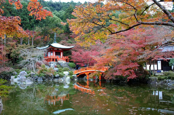 top 10 ngôi chùa ngắm lá đỏ tuyệt đẹp ở kyoto