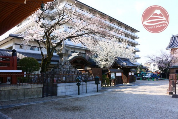 top 10 đền chùa được vào tham quan miễn phí ở kyoto