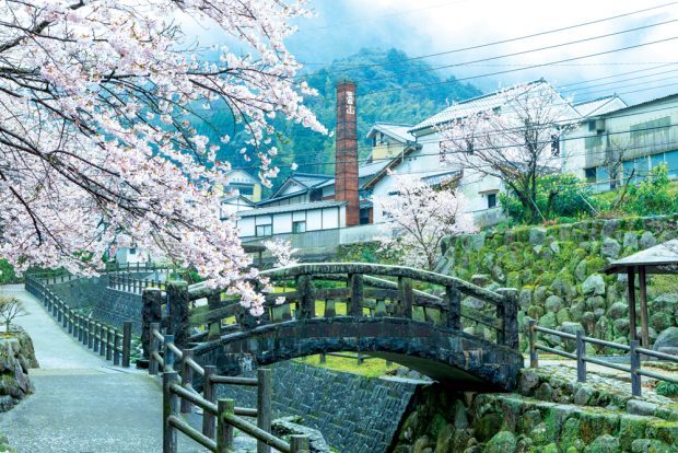 Làm thế nào để du lịch đến Nhật Bản mà không cần tốn nhiều tiền?