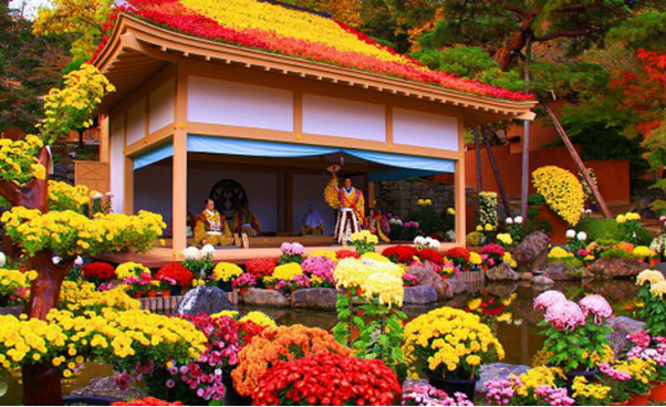 Những lễ hội diễn ra trong tháng 11 tại Nhật Bản