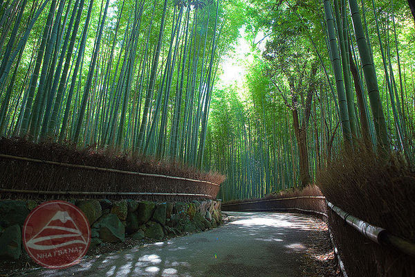 8 điểm đến ở Kyoto cho những người thích chụp ảnh