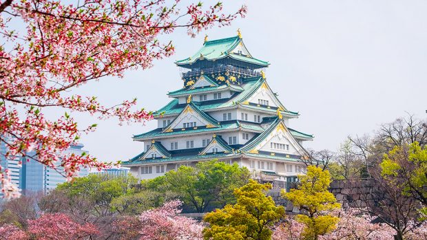 Tour riêng du lịch từ Osaka 3-5 ngày từ 13 triệu/người đi Kyoto, Nara, Kobe