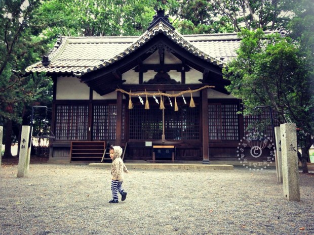 Các hoạt động cho trẻ em khi đi du lịch Nhật Bản