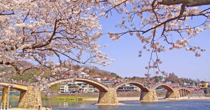 Cầu Kintaikyo- Cây Cầu Gỗ Thanh Lịch Nhất Nhật Bản
