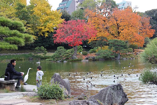 9 điểm đẹp tuyệt vời để tận hưởng mùa thu ở tokyo, nhật bản