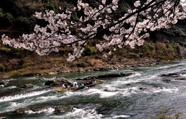Khám phá Kyoto bằng thuyền: bốn mùa huyền ảo