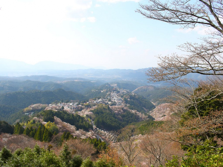 Núi Yoshinoyama- Núi Được Bao Phủ Bởi Hàng Ngàn Cây Anh Đào
