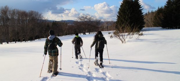 tour riêng trải nghiệm 7 ngày ở hokkaido – thiên đường tuyết rơi là có thật !