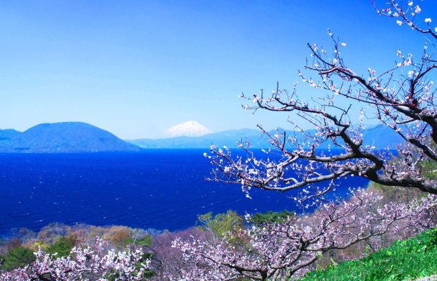 tour riêng du lịch từ hokkaido hòn đảo mộng mơ 3-7 ngày, từ 13 triệu/pax