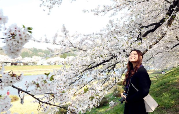 Lập team Du lịch Nhật Bản tự túc ngắm hoa anh đào du xuân