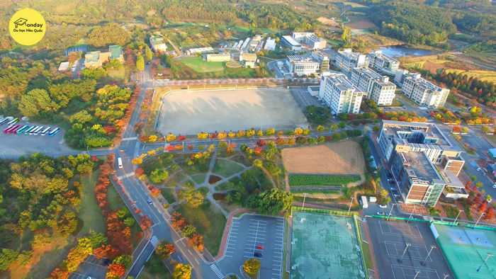 trường đại học daegu - trường đại học danh tiếng tại daegu