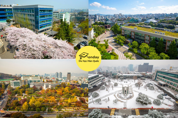 đại học dongguk - trường đại học nổi bật ngành công nghệ tại seoul
