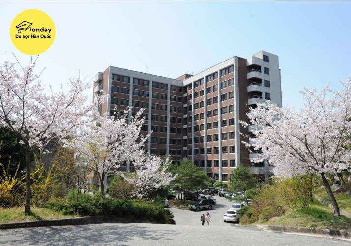 đại học honam - top 3 đại học tốt nhất gwangju