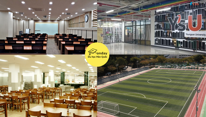  đại học youngsan - ngôi trường của ngành thương mại quốc tế
