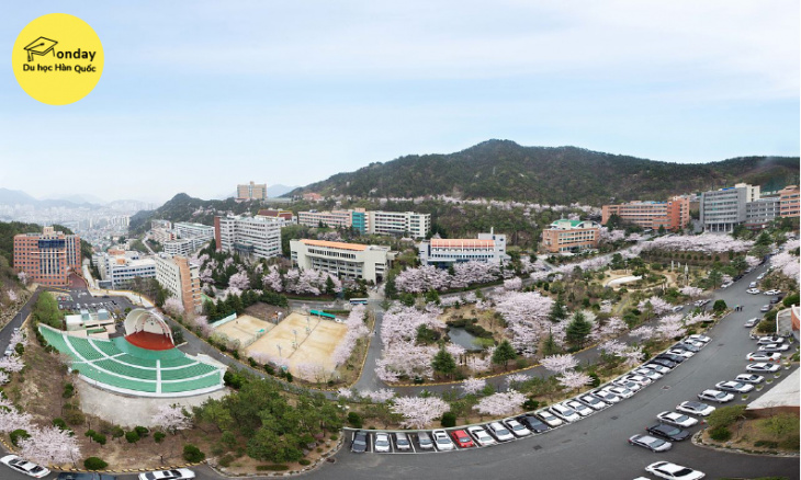 đại học dong-eui - một trong những đại học hàng đầu busan