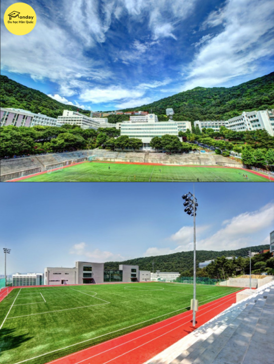 đại học donga - trường đại học tổng hợp danh tiếng ở busan