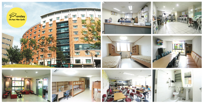 đại học myongji - ngôi trường danh tiếng tại seoul