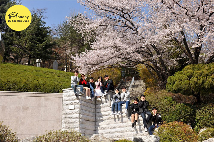  đại học kookmin - ngôi trường kinh doanh danh tiếng