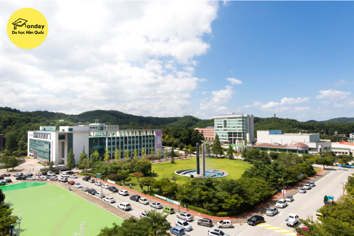 đại học quốc gia gangneung wonju - ngôi trường hàng đầu hàn quốc về lĩnh vực nghiên cứu