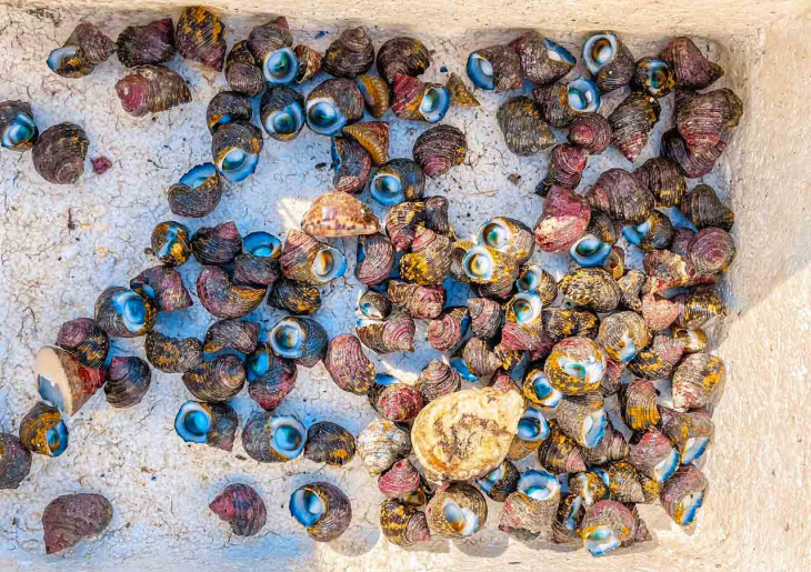 đặc sản nam du – top 15 món đặc sản hấp dẫn nhất tại “đảo ngọc” (2022)