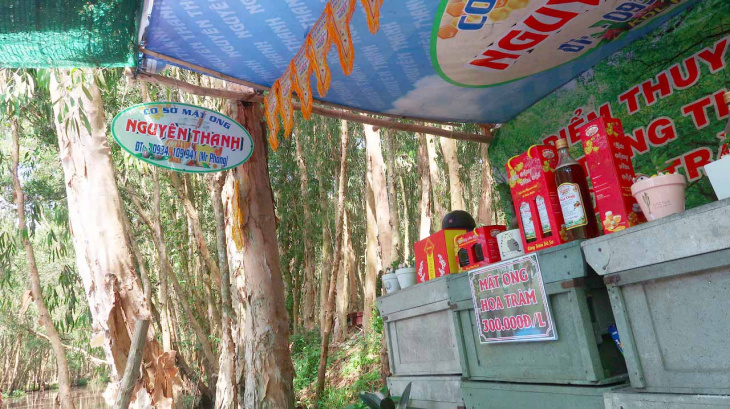 rừng tràm trà sư an giang – khám phá khu rừng đẹp nhất miền tây