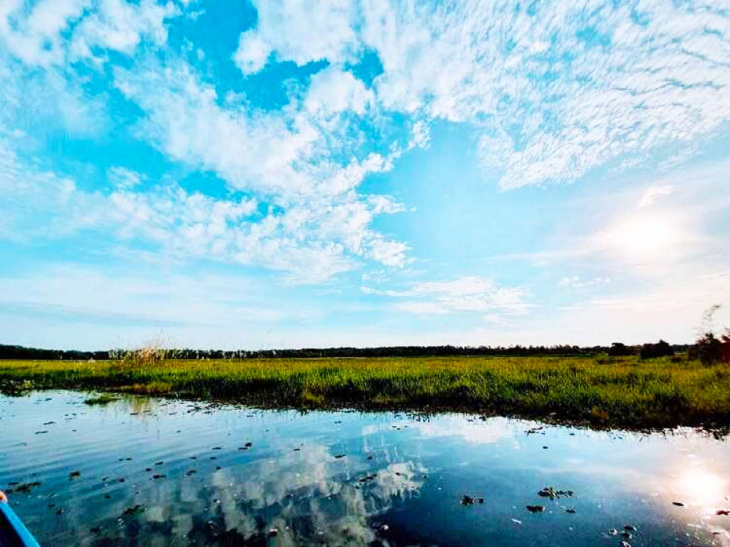 khu bảo tồn đất ngập nước láng sen – trở về “mùa nước nổi” 2022