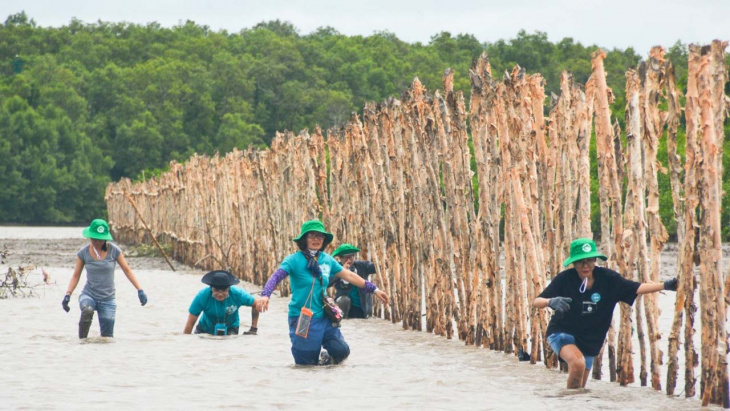 Vườn quốc gia U Minh Hạ – Trải nghiệm cung đường xuyên rừng cực HOT