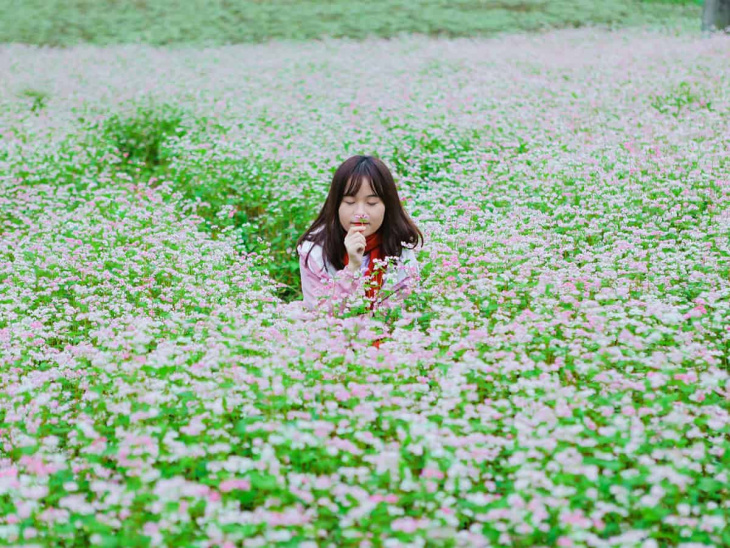 top 24 vườn hoa đà lạt cực đẹp – tha hồ check-in sống ảo