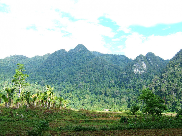 xuan son national park – phu tho province