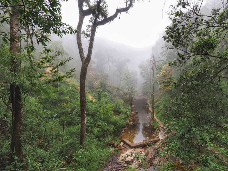 Hoang Lien National Park – near Sapa