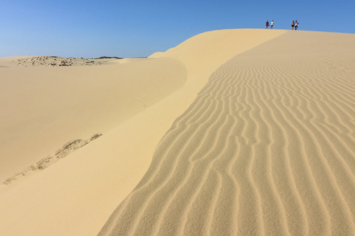 white sand dunes – mui ne